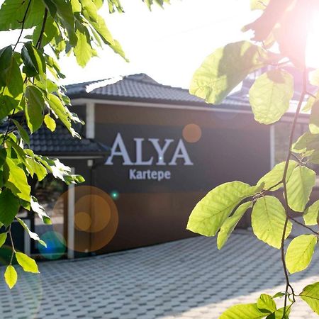 Alya Kartepe Villa Hotel Κοτζαελί Εξωτερικό φωτογραφία
