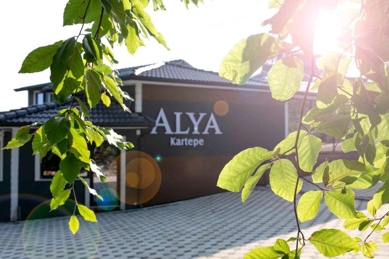 Alya Kartepe Villa Hotel Κοτζαελί Εξωτερικό φωτογραφία