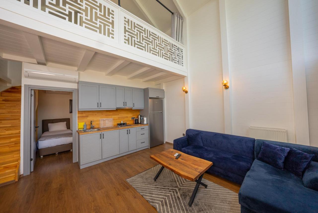 Alya Kartepe Villa Hotel Κοτζαελί Εξωτερικό φωτογραφία